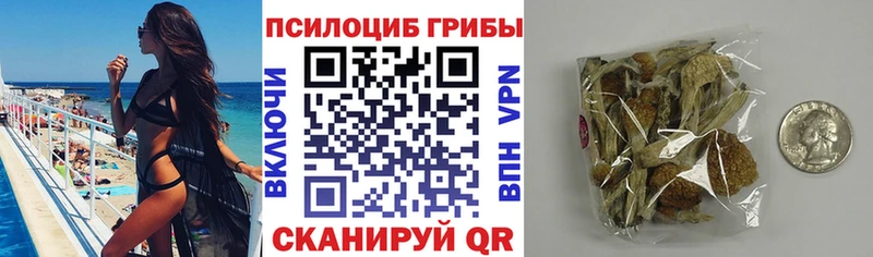 гидра вход  darknet какой сайт  Псилоцибиновые грибы Magic Shrooms  Кириши 